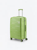 Pistachio Luggage