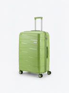 Pistachio Luggage