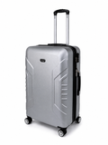 Silver Luggage