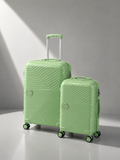 2-Piece Travel Bag – 22+ 26 Pistachio
