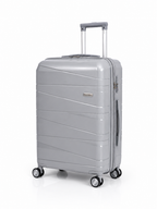 Gray Luggage